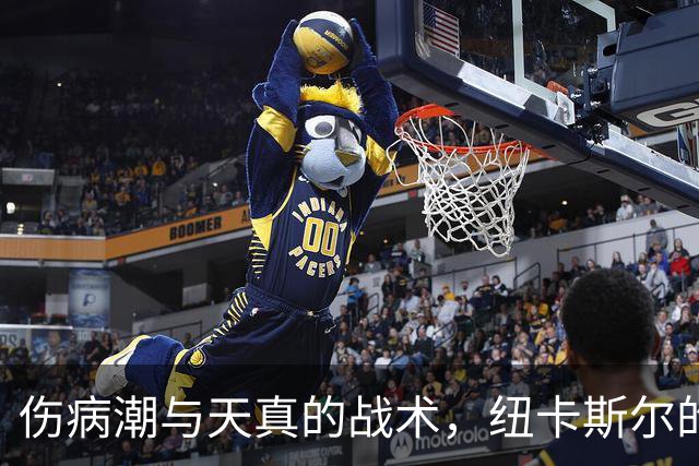 伤病潮与天真的战术，纽卡斯尔的苦与乐